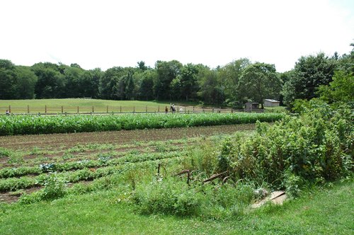 Matlock Farm